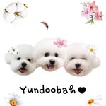 dooboo0803 profile picture