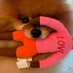 doochination profile picture
