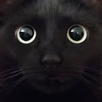 dopez profile picture