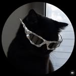 dorje_42751 profile picture