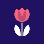 dorothyhousehc profile picture