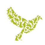 dovelewispdx profile picture