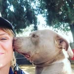 downeypaws profile picture