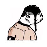 doylewolfgangvonfrankenstein profile picture