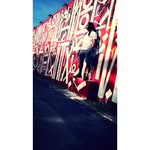 dq.visuals profile picture