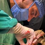 dr.ali_skandar profile picture