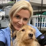dr.bewley profile picture