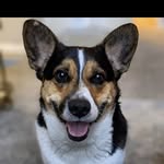 dr.kevinlove profile picture