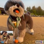 dr.siu_sa profile picture
