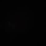 dr_pulpy5 profile picture
