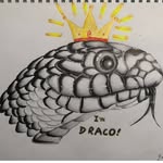 draco.exotics profile picture