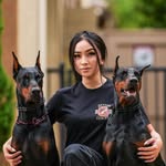 dracotheedobie profile picture