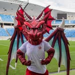 dragonmascote profile picture