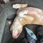 drakeycake profile picture