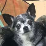 drbarrack profile picture
