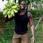 drboyce profile picture
