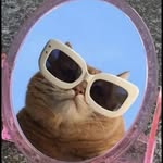 dreamer_cat profile picture