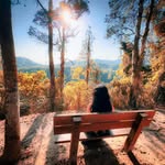 dreamywandergirl profile picture