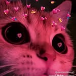dreeaamneema profile picture