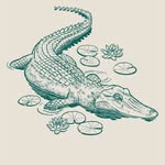 drinkgatortears profile picture