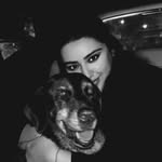 drissssh profile picture
