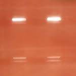 driveo_ profile picture