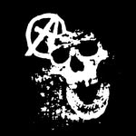 dronraid profile picture