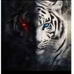 drtiger201 profile picture