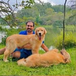 drwedercastro profile picture