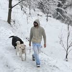 dslrwalabhaiya profile picture