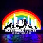 dtranimalfoundation profile picture