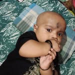 duck.9478630 profile picture