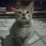 ducky.momo21 profile picture