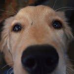 dudetherapy profile picture