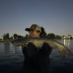 duhbrah profile picture