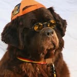 duhzeemz profile picture