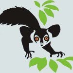 dukelemurcenter profile picture