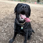 dukes.worldd profile picture