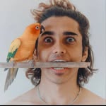 dumbo.vibe profile picture