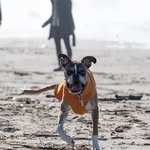 duncanlouwho profile picture