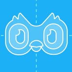 duolingodesign profile picture