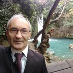 duowithfox profile picture