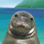 dustintelefoni profile picture