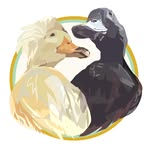 dustyotterduckums profile picture