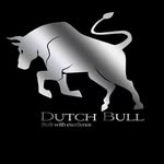 dutchbullbuilds profile picture