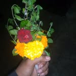 dx__patel__396 profile picture