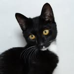 dydgus0691 profile picture