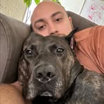 dylonshepelsky profile picture