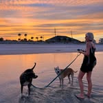 dyna_and_chris_adventures profile picture