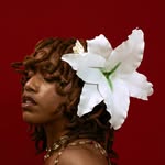 dynaedyne profile picture